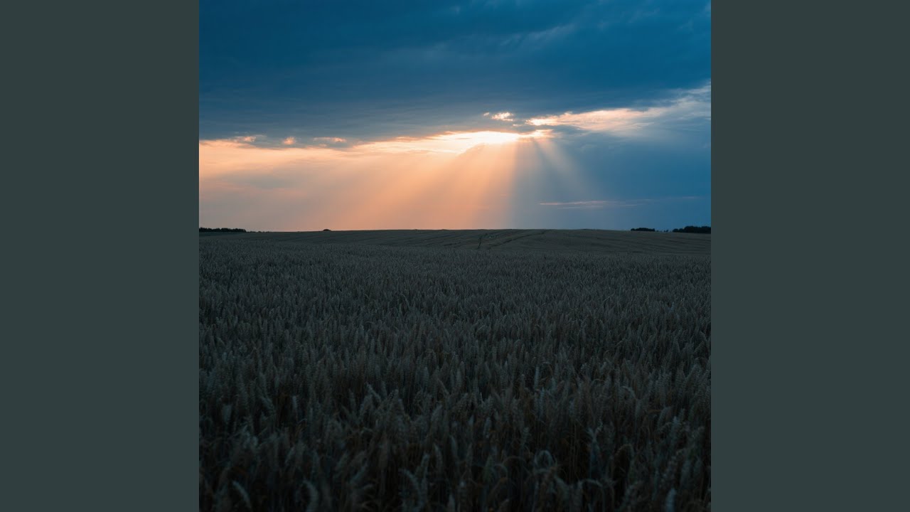 Silken Heartbeats on the Busstop