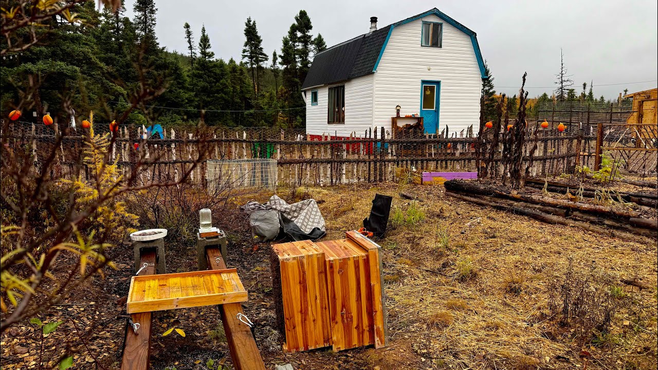 Медведь нашёл наш улей. Взлёты и падения домашнего хозяйства | Выпуск 20