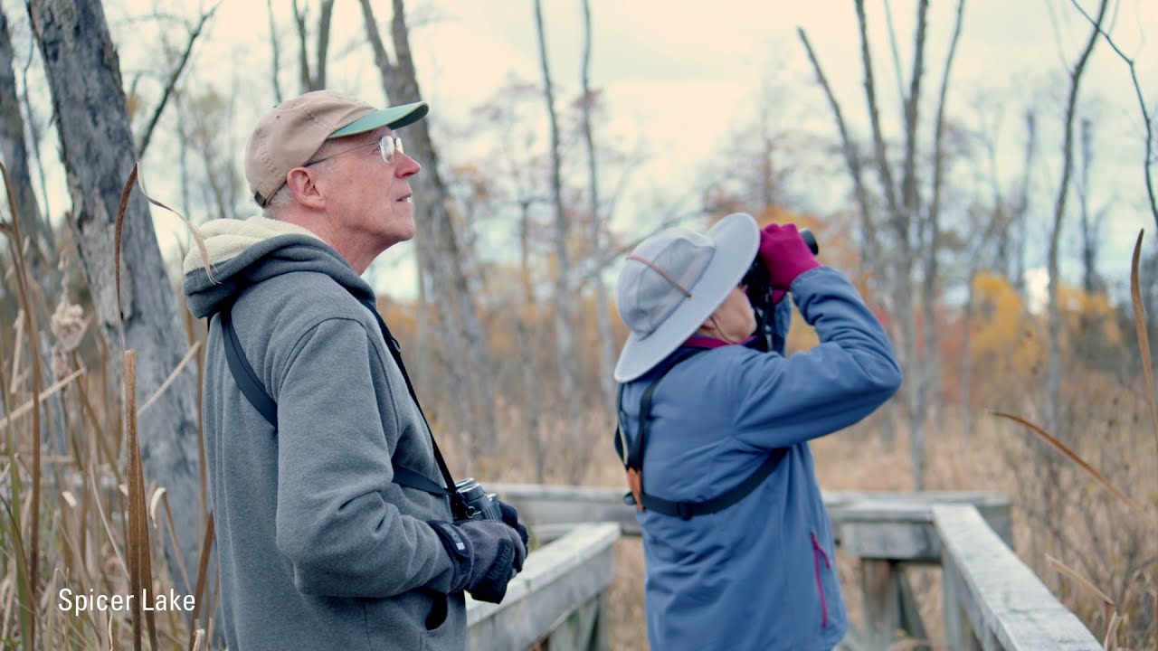Four Seasons of Outdoors Activity