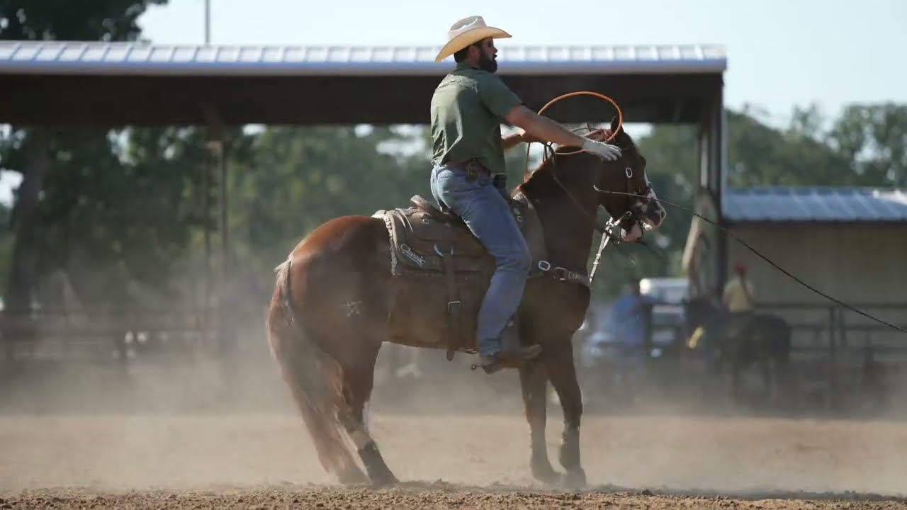 ALL YOURN - Consigned to the Riata Showcase Sale December 7, 2025