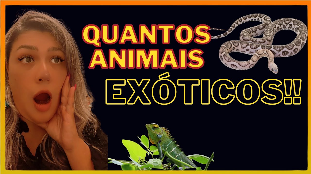 FIQUEI ASSUSTADA COM TANTOS ANIMAIS EXÓTICOS EM SANTARÉM, PORTUGAL!!