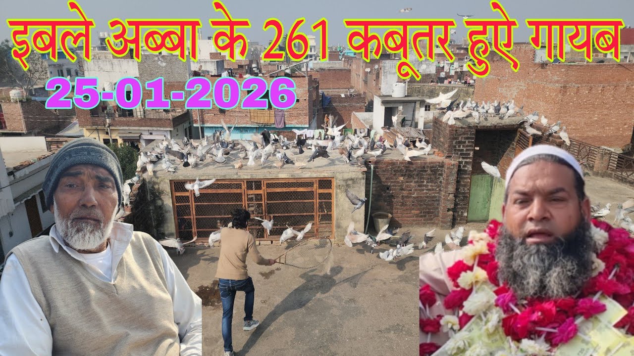 इब्ले अब्बा अमरोहा के 261 कबूतर हुए गायब 25-01-2026. Khalifa Faizan talim Ustad Akbar.