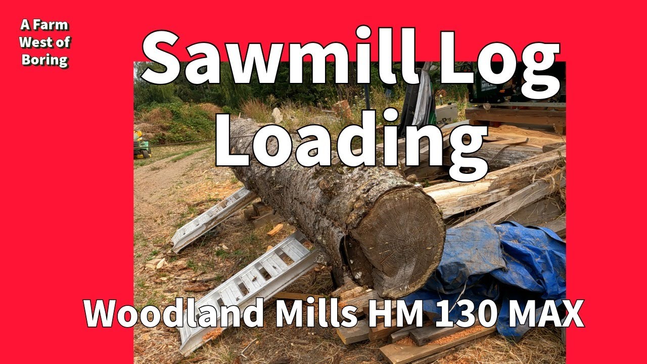 Easiest Way to Load a HUGE Cedar Log Onto a Woodland Mills Sawmill