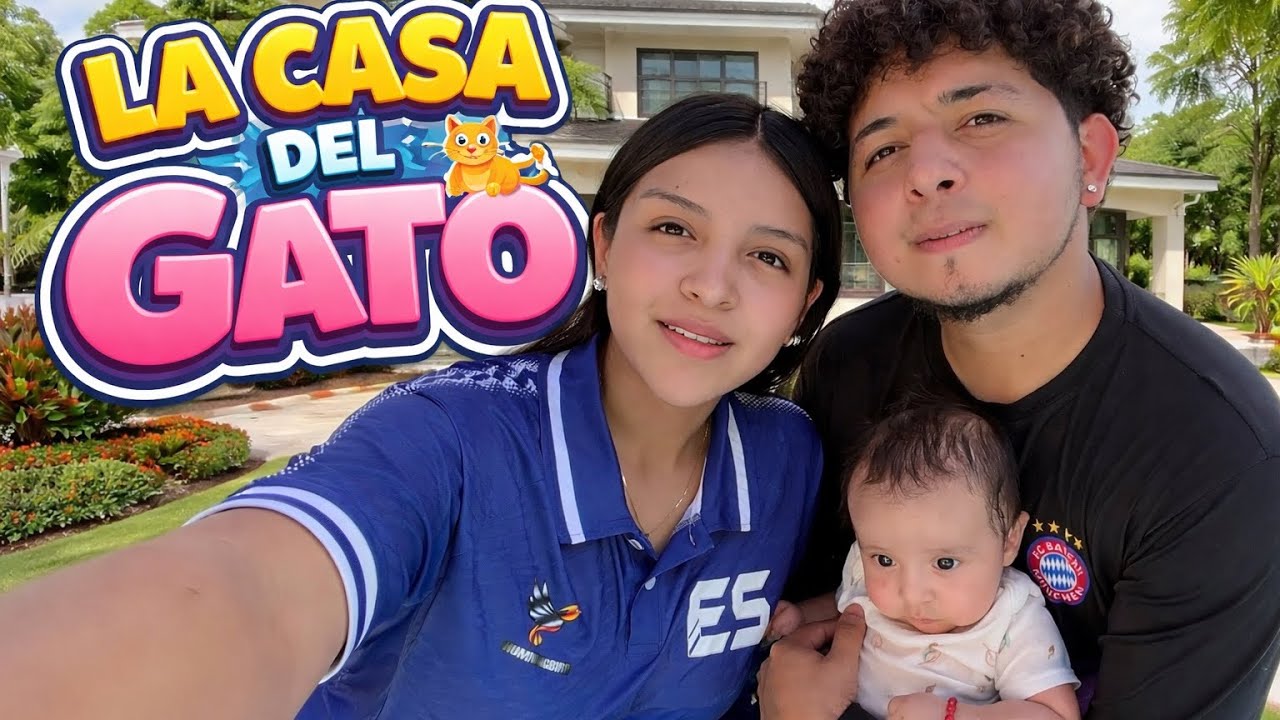 La casa del gatito 