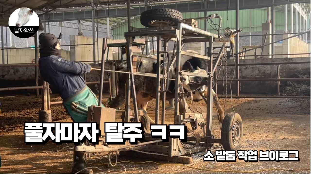 [발까악쓰의 하루] 오늘도 쉽지 않은 현장 작업 브이로그