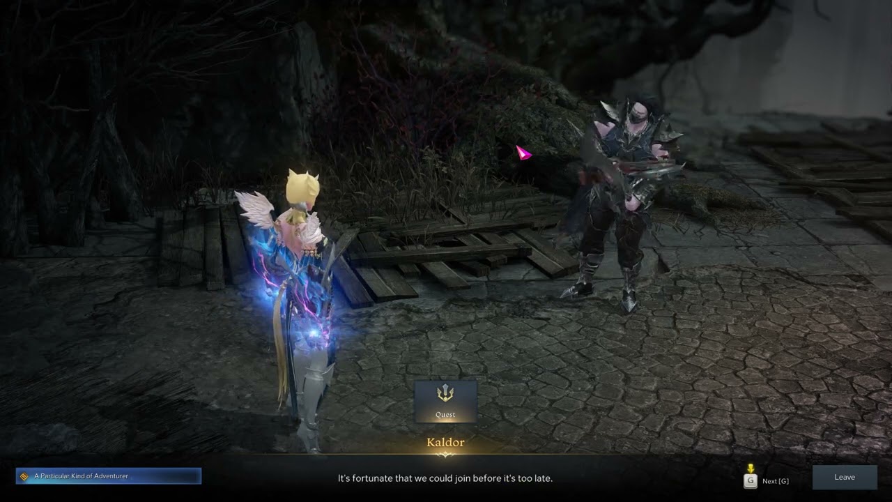 A PARTICULAR KIND OF ADVENTURER Quest Gameplay in LOST ARK