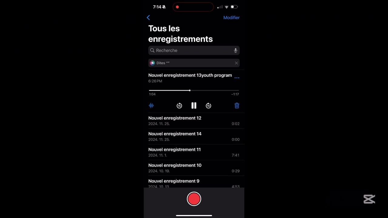 Youth Ambassadors Program “how do you think this program will help you serve your community”