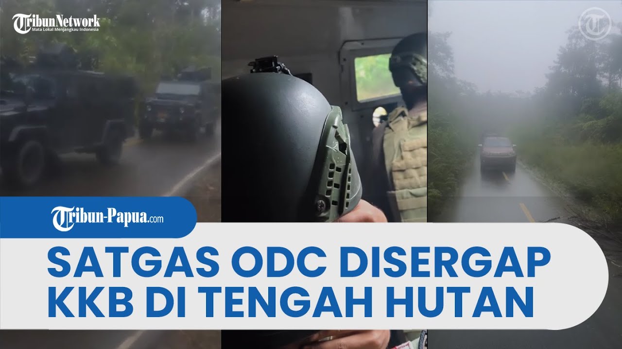 MENCEKAM! Satgas ODC Disergap KKB Di Tengah Hutan Saat Hendak Evakuasi Korban Selamat Di Yahukimo