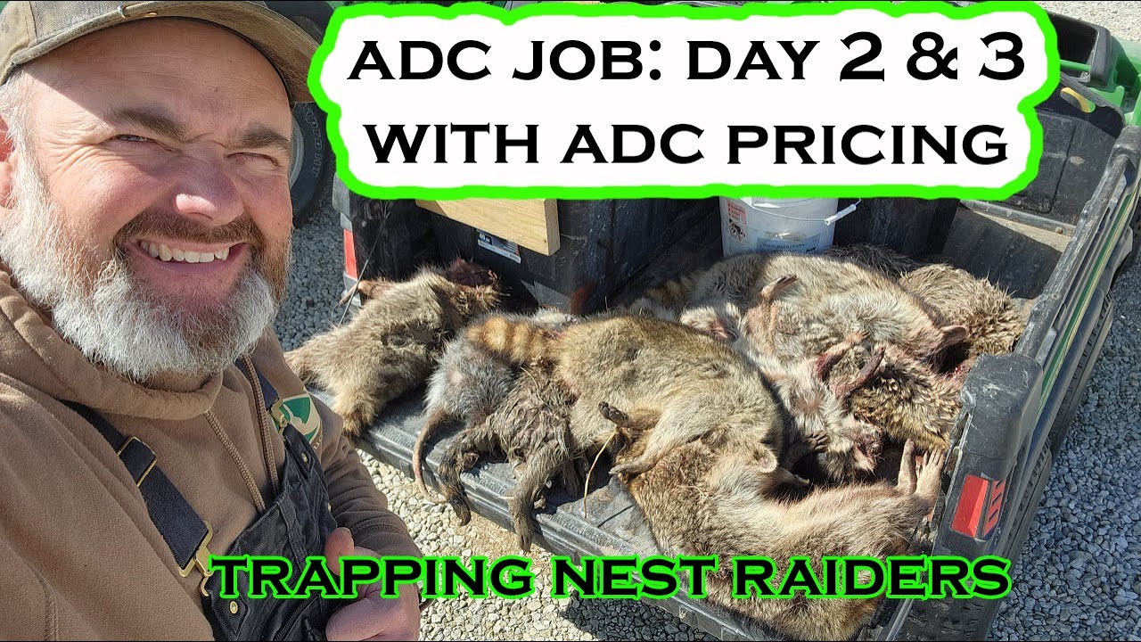 ADC JOB: DAY 2 and 3, with ADC PRICING EXPLAINED | S4 Ep 25 VLOG