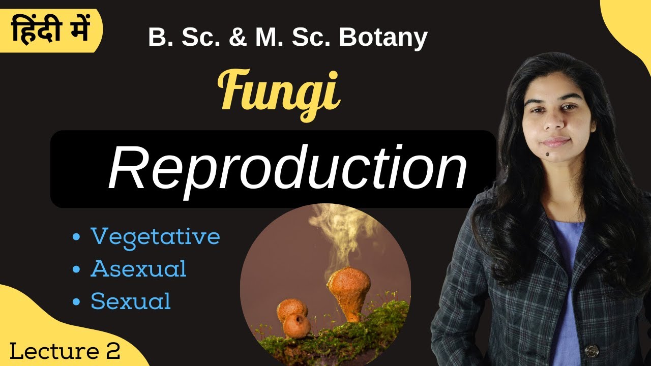 Fungi || Reproduction || in Hindi || Botany || B. Sc. & M. Sc.