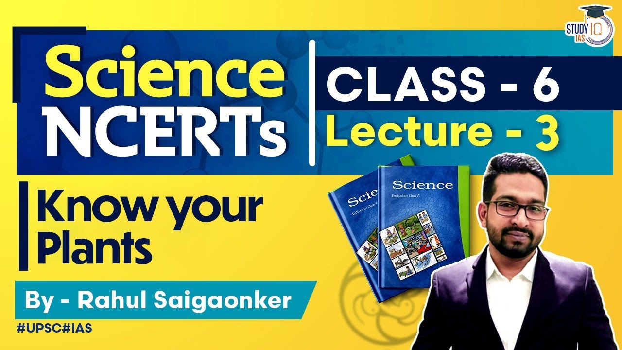 NCERT Science Series - Class 6 Part 3 - Know your plants | UPSC IAS | StudyIQ IAS