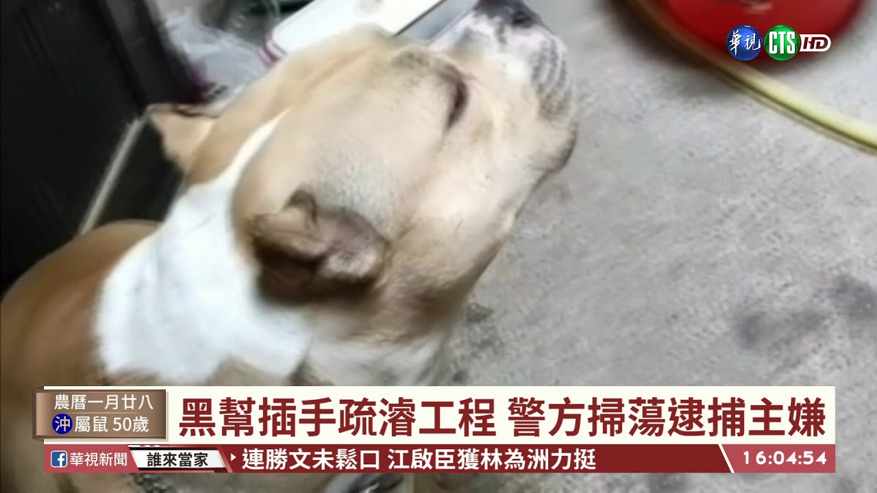 【台語新聞】重大刑案頻傳! 警宣示掃黑清剿幫派｜華視台語新聞 2021.03.11