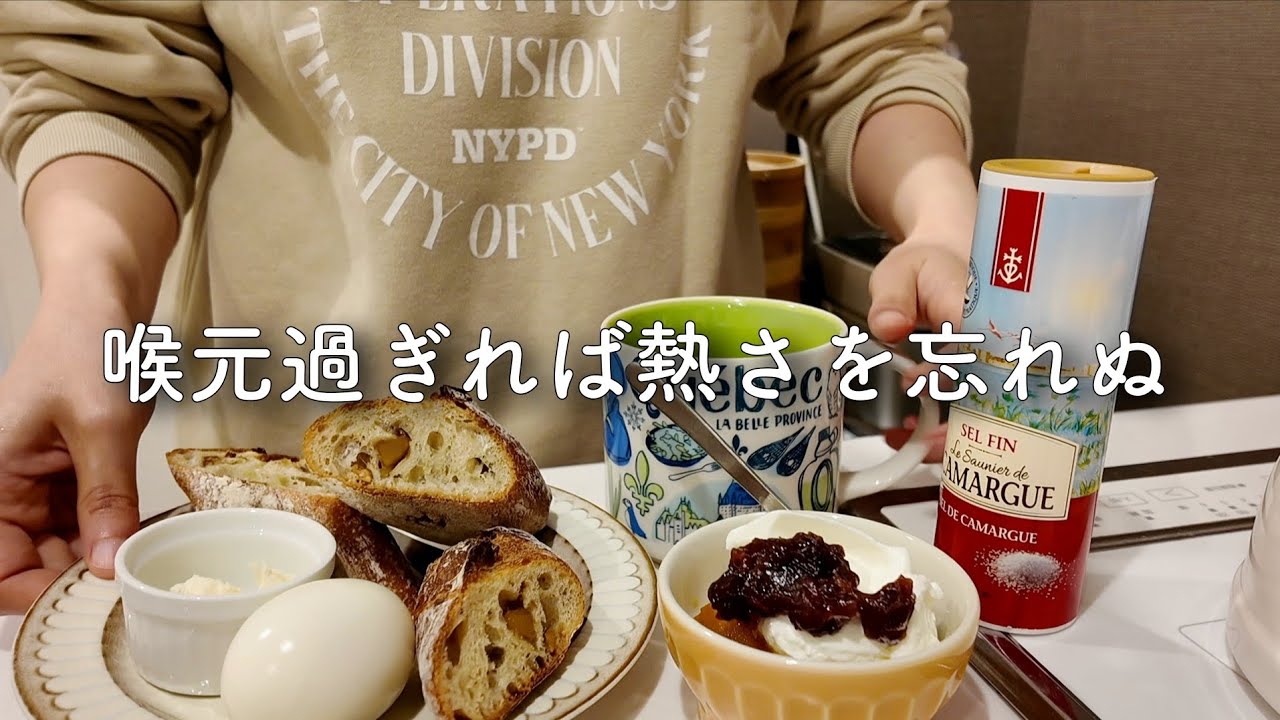 胃弱の1日の食事VLOG(外出する日編)+質問回答