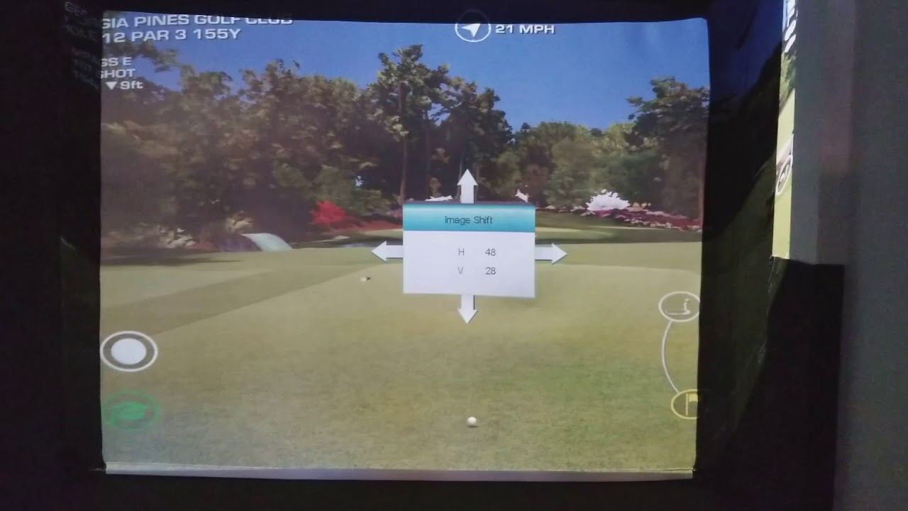 Simulator Projection