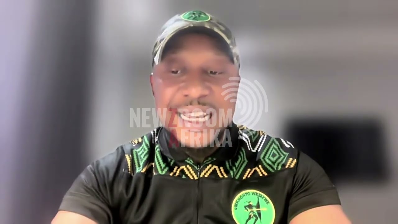 MK Party presses on stopping Madlanga Commission