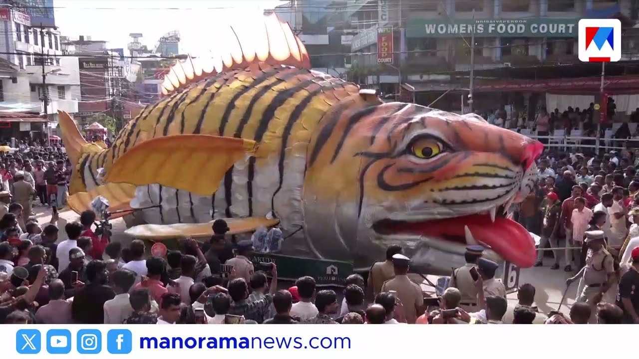 Pulikali once again conquered the heart of Thrissur | Thrissur| pulikali 2025