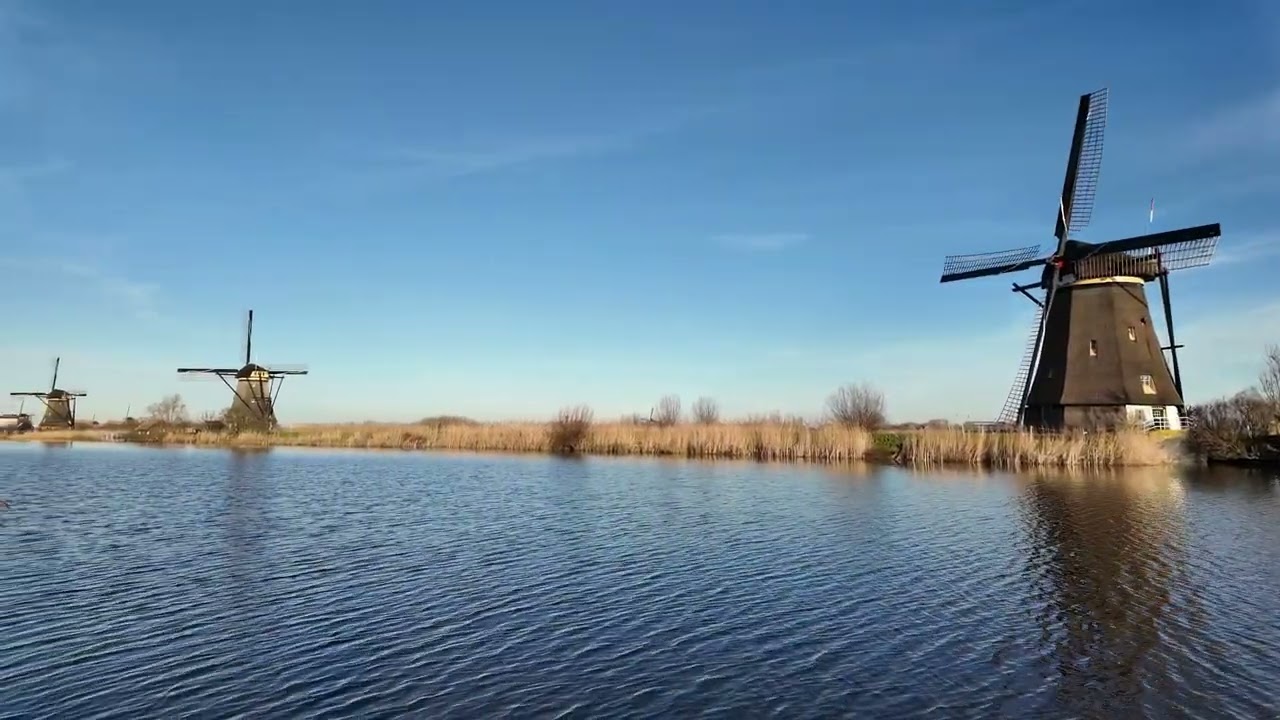 Sunday  winter morning walk near the windmills of Kinderdijk DJI pocket 3 footage
