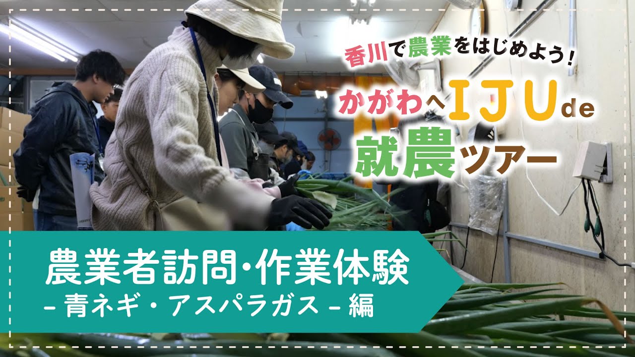 【移住就農】青ネギ、アスパラガスの作業体験や圃場見学 | ツアー３日目（綾川町）