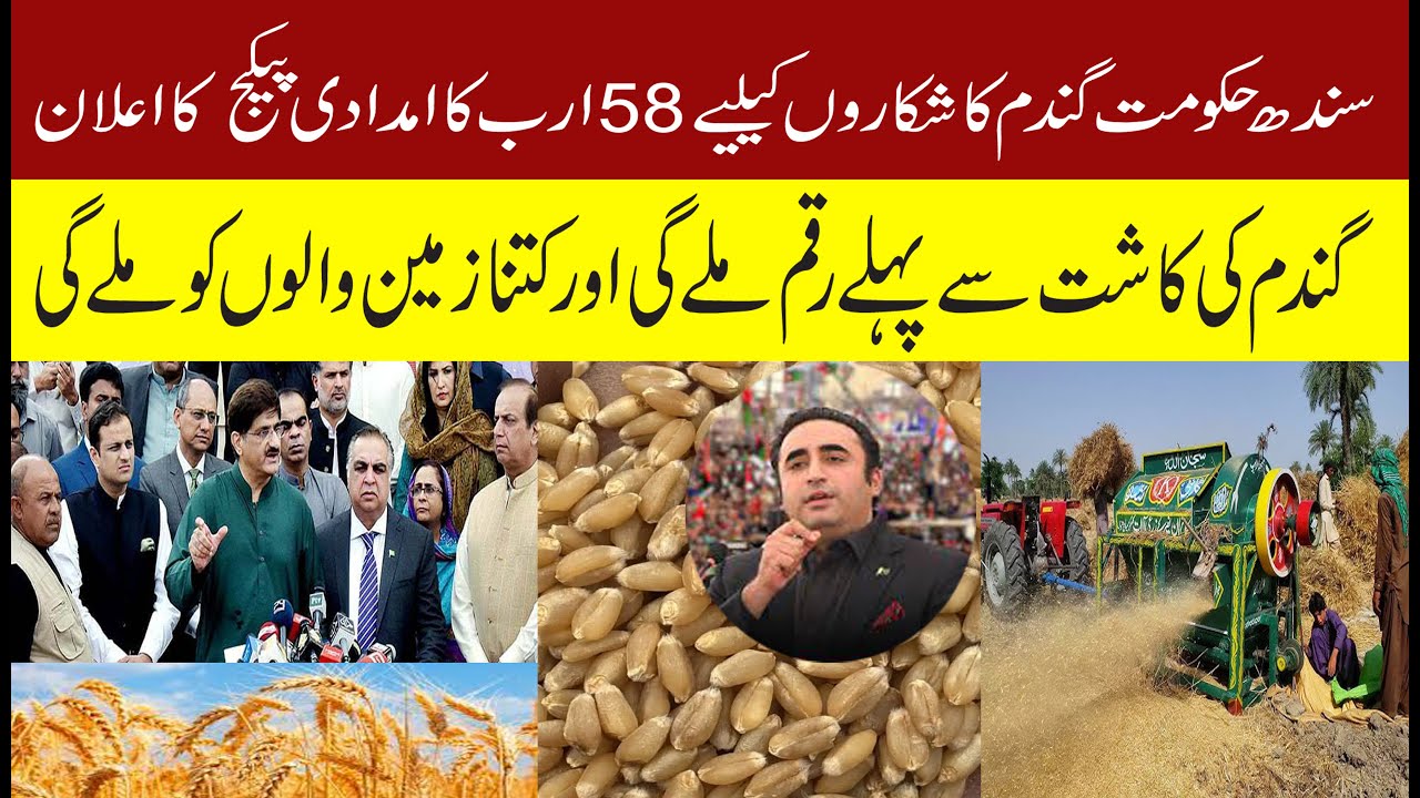 Sindh government announces Rs58 billion package for wheat farmers Good news, wheat farmers, liste...