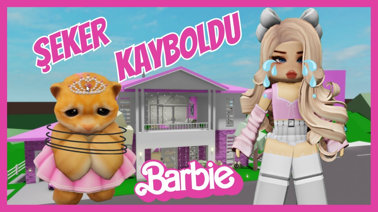 ✨BARBİE'NİN KEDİSİ KAÇIRILDI😁AYŞEM ECE ARI💥ROBLOX Brookhaven🏡RP