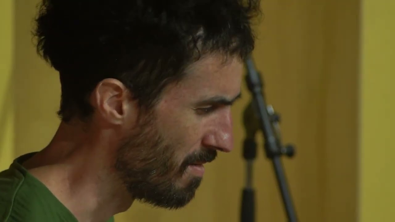 flores amarillas (Juan Filipelli)