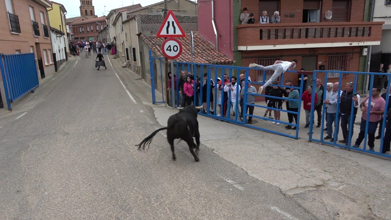 TOROS DEL CAJON-  FUENTELAPEÑA (ZA)- SABADO 03/05/25