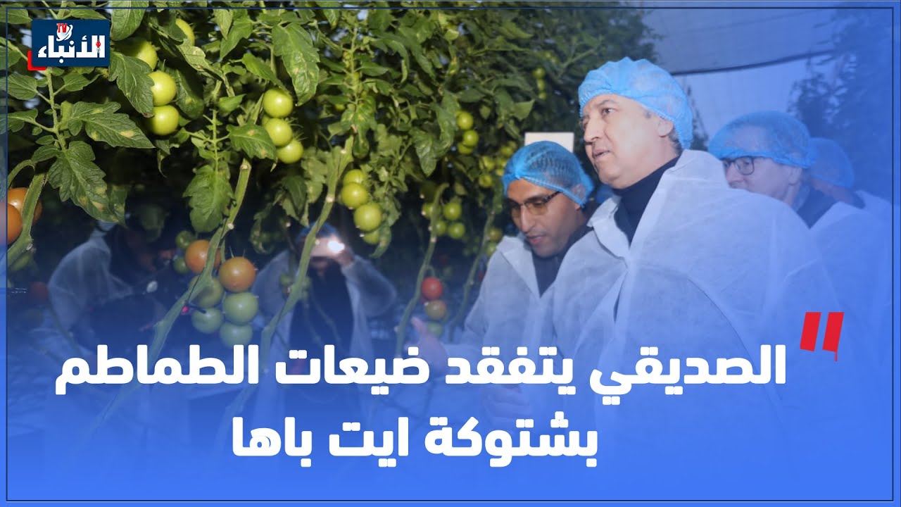الصديقي يتفقد ضيعات الطماطم بشتوكة ايت باها