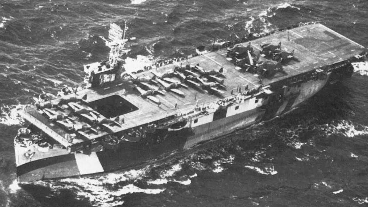 The 6 Baby Flattops Berlin Never Expected — 54 Kills Later