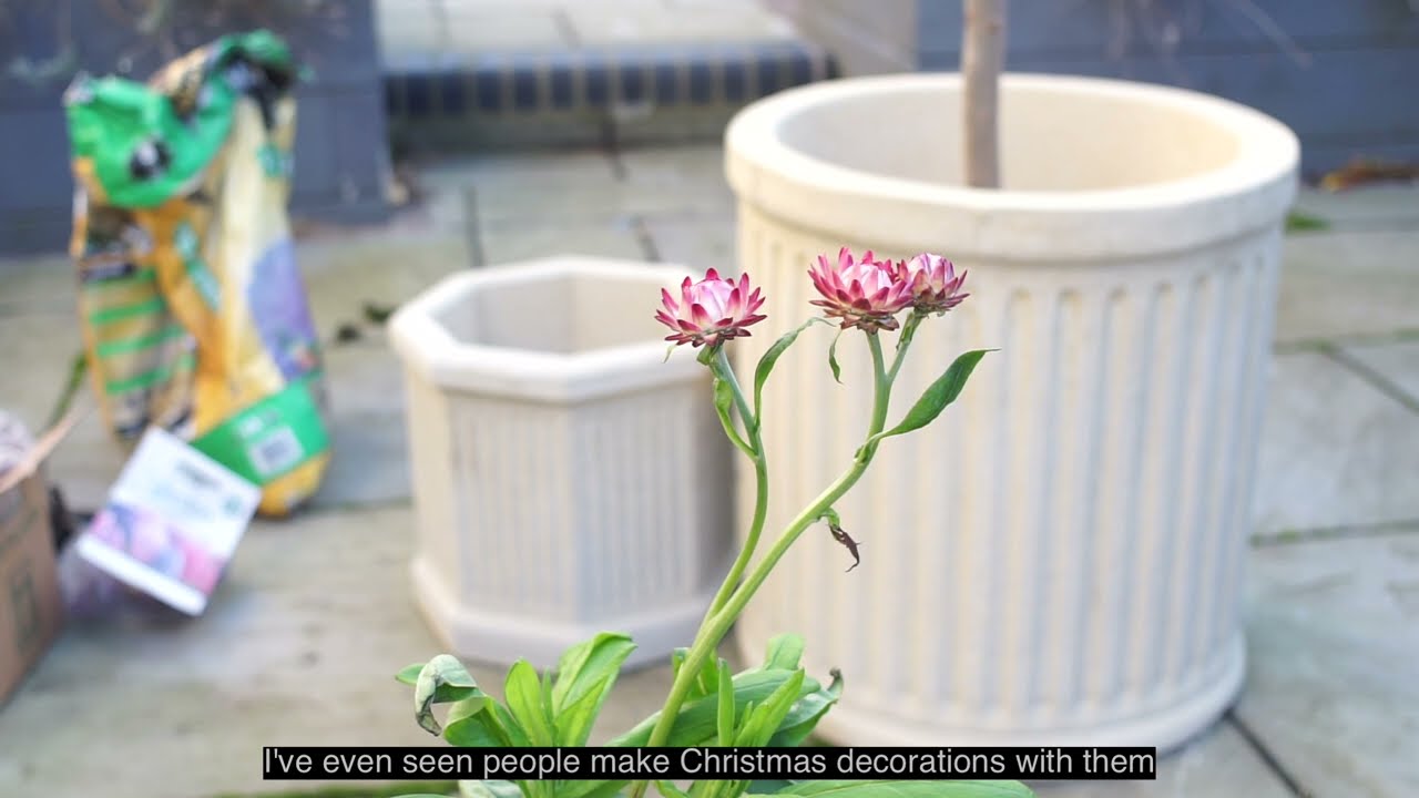 Planting Spring Bulbs in my Cottage Garden | Slow Living Vlog