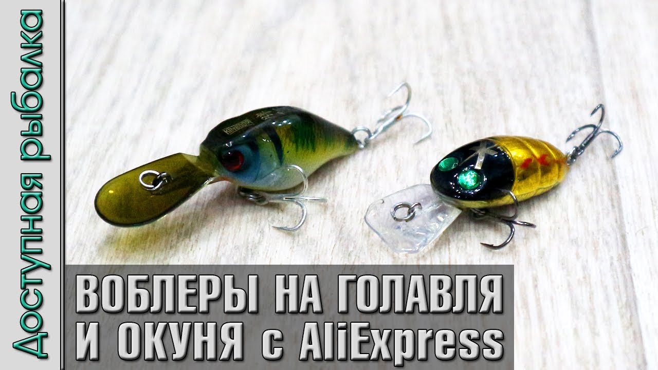 Воблеры на Голавля и Окуня с АлиЭкспресс | JACKALL CHUBBY DIVING 38 и NORIES CRANKIN PUPA от Kingdom