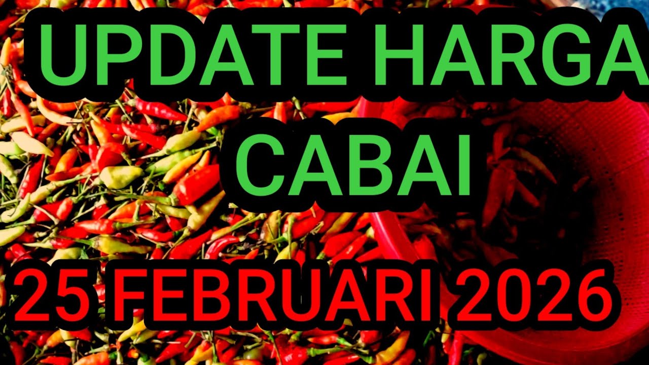 Update harga cabe rawit hari ini 25 Februari 2026 di pasar induk pare kediri jawa timur 