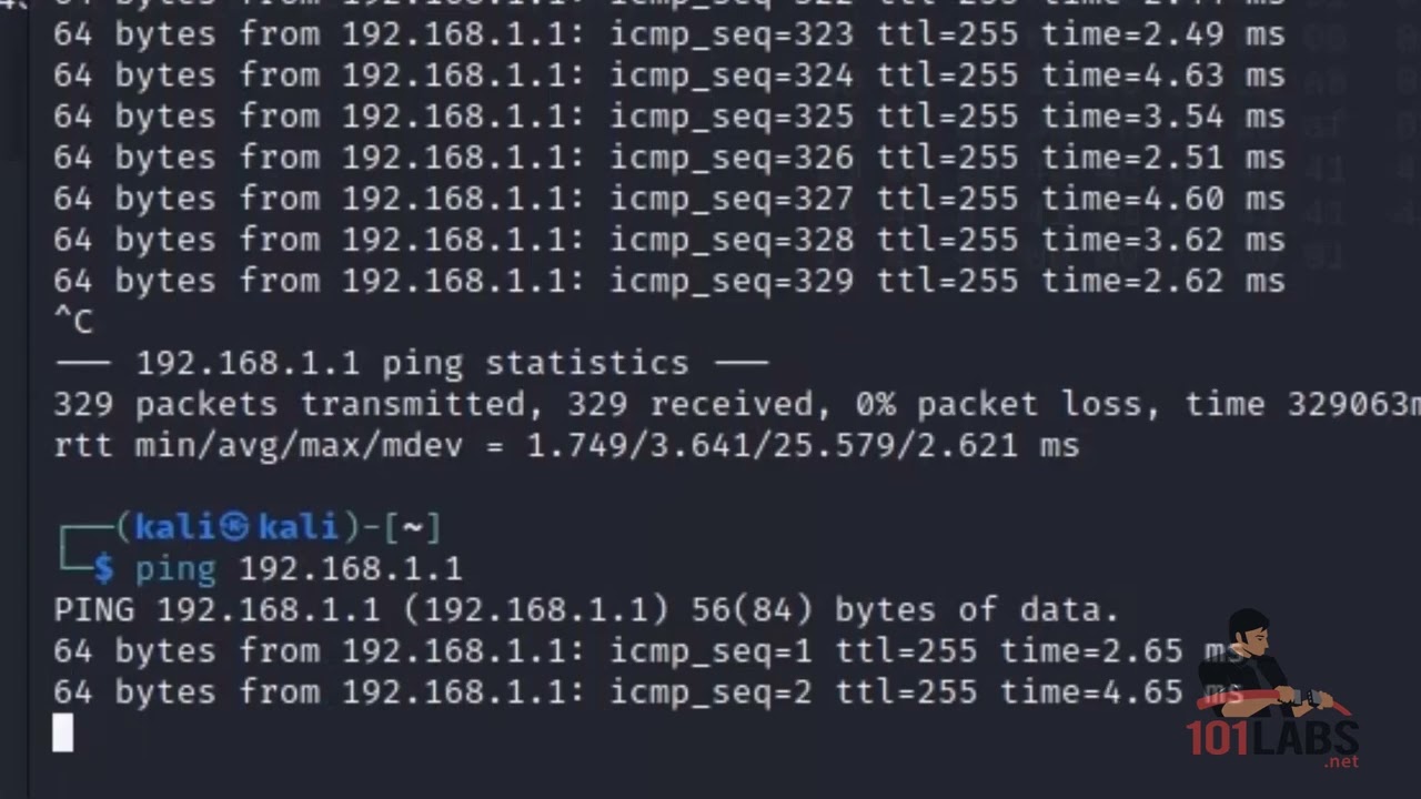Wireshark - Beyond the Basics [101 Labs - GIAC GSEC]