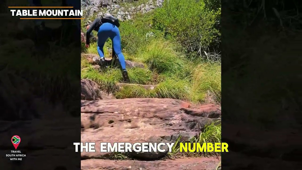 Table Mountain Cape Town 2026: Everything You Need to Know (Prices & Safety)