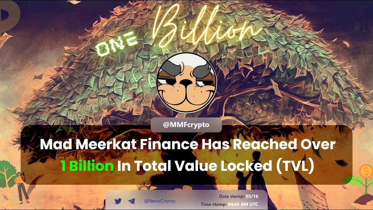 MMFinance is going to be huge 🚀 😳 , #MMFINANCE #MadMeerkatFinance