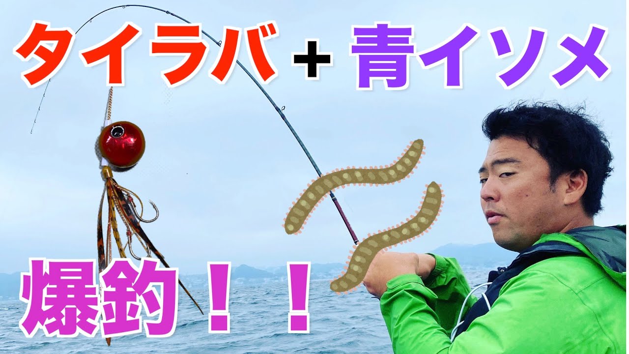 鯛ラバに青イソメ付けてみた！これ最強なんじゃね？編【金田湾】