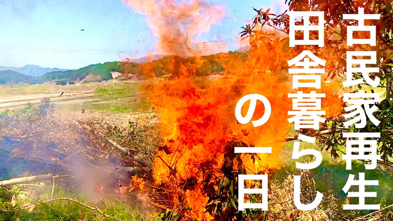 古民家再生田舎暮らしの1日。伐採した竹で田んぼがいっぱいになってしまったので焼却処分する。