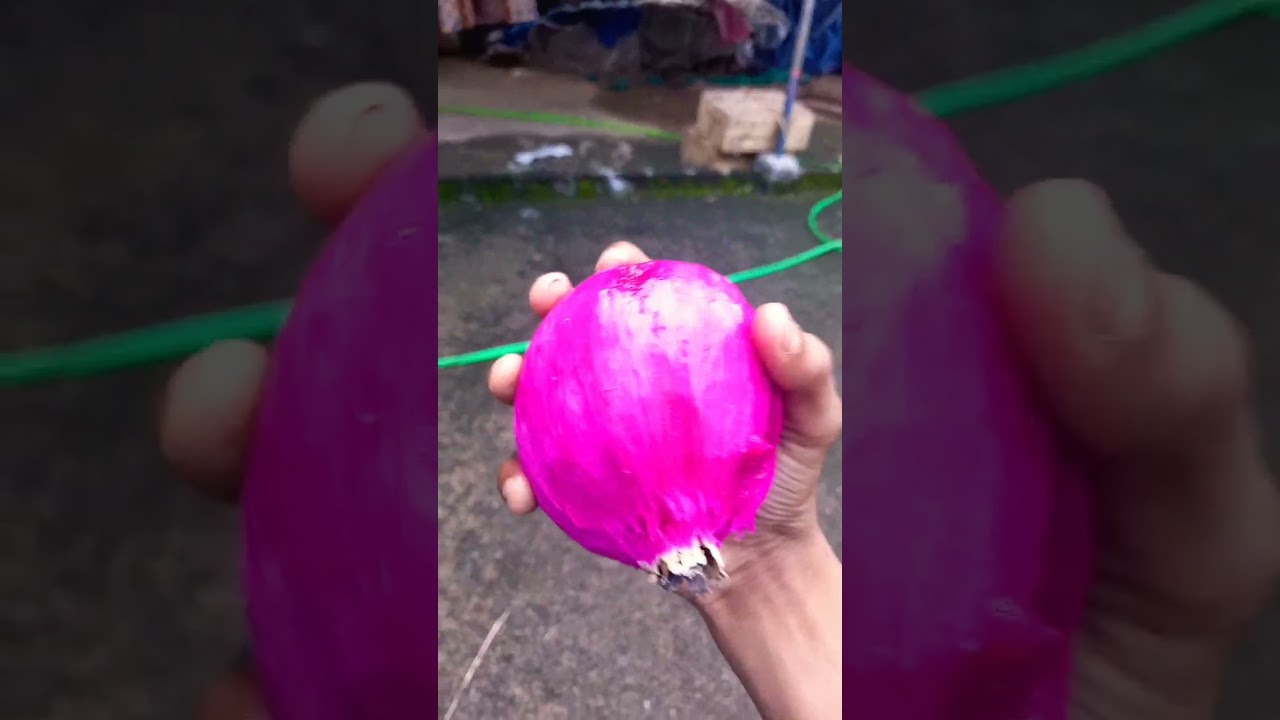 #flower #dragonfruits #nature #fruitlover #tropicalfruits