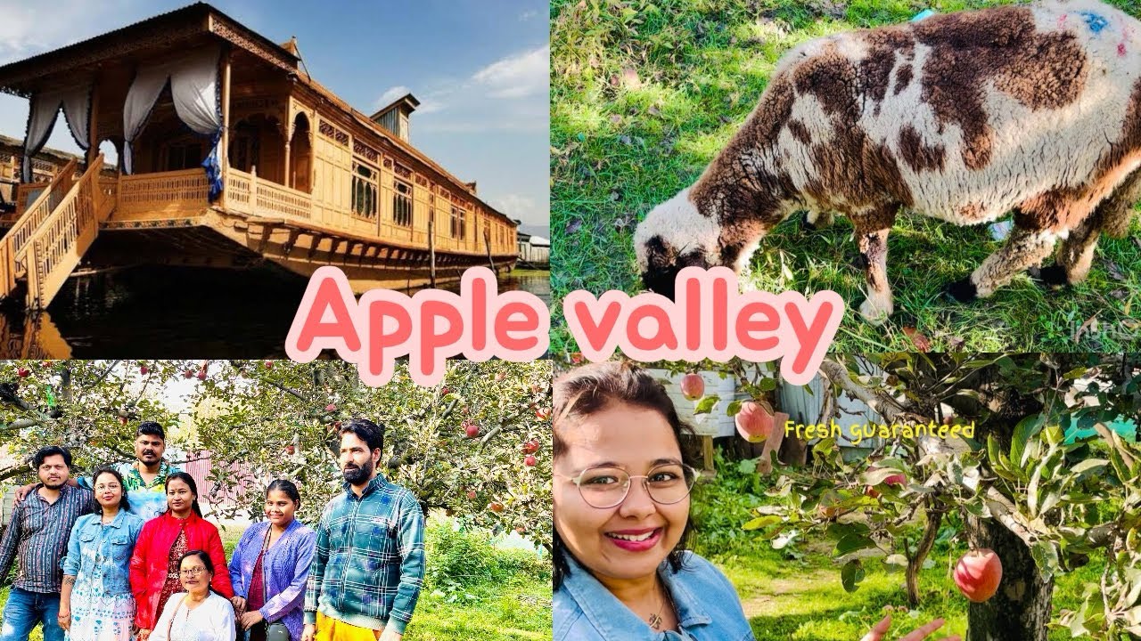 KASHMIRI APPLE 🍎 KA PED MIL GAYA😲 #viralvideo #jannatkashmir #travel #pahalgam #food ##srinagar 