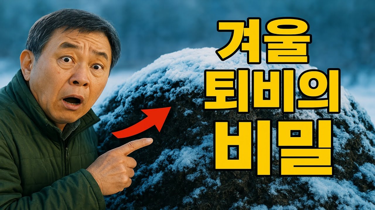 겨울 퇴비의 비밀: 꽁꽁 언 한겨울에도 퇴비를 작동시키는 노하우!