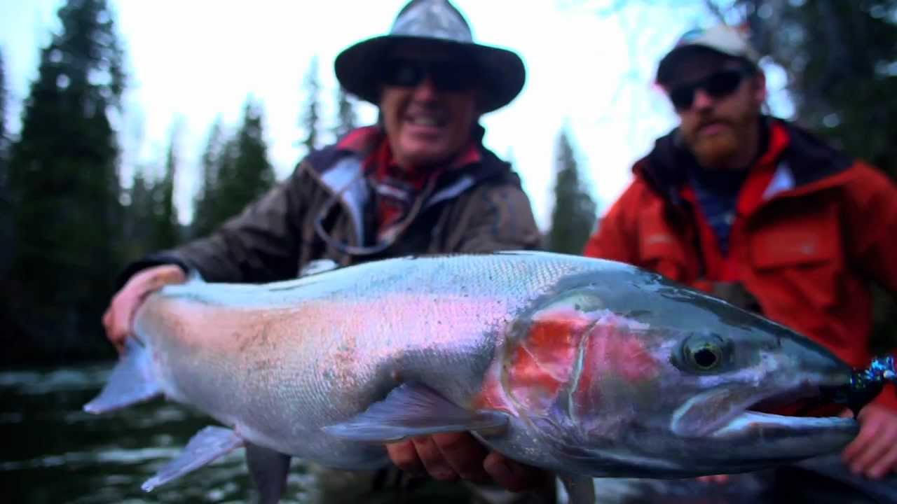 A River North: Andy Mill tracks down steelhead in remote British Columbia (Maui Jim ) HD