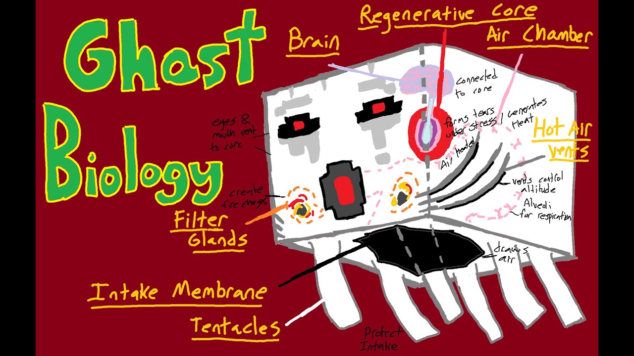 Minecraft Ghast Biology Revisited