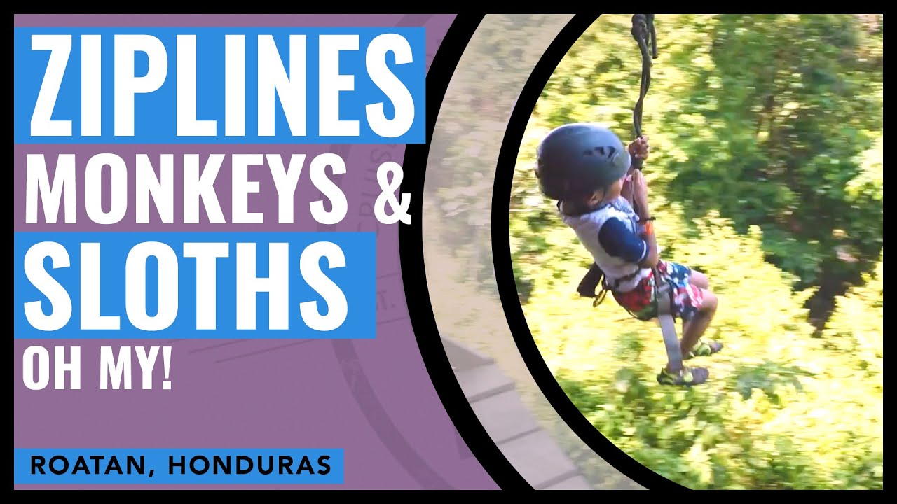 Zip Lines, Monkeys and Sloths Adventure In Roatan, Honduras.