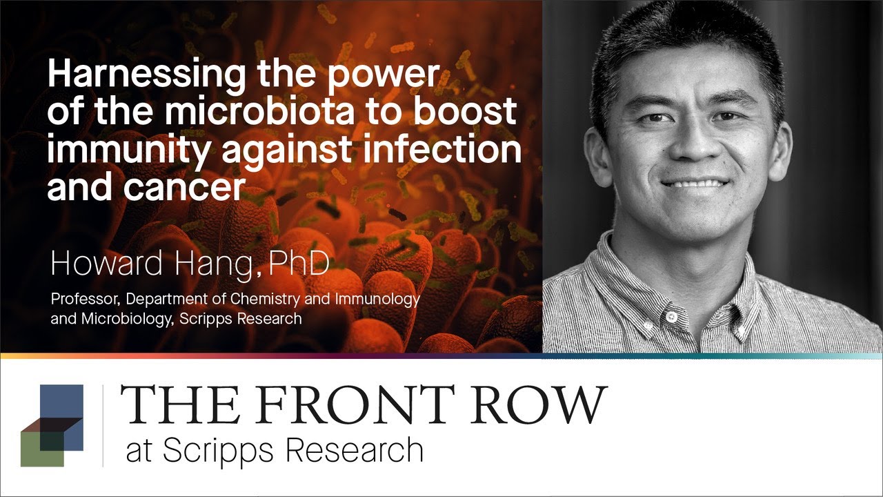 Harnessing the power of the microbiota to boost immunity against infection and cancer