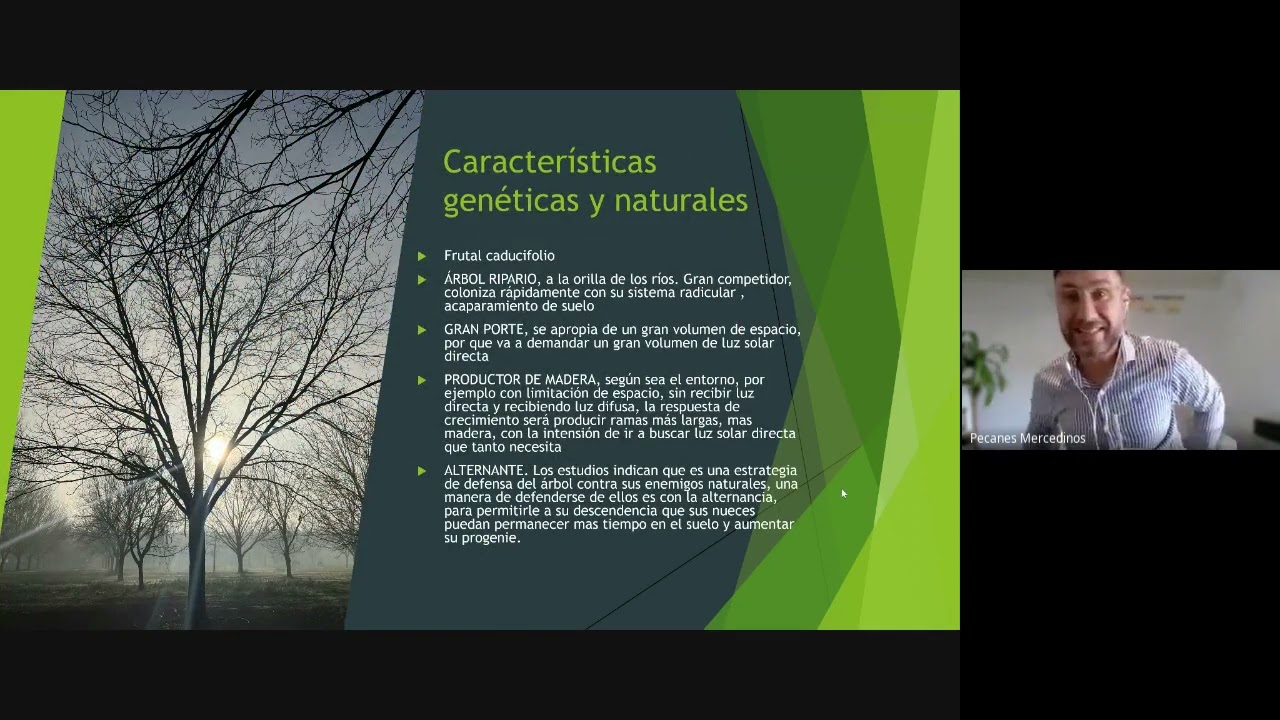 Curso Poda Nogal Pecanero