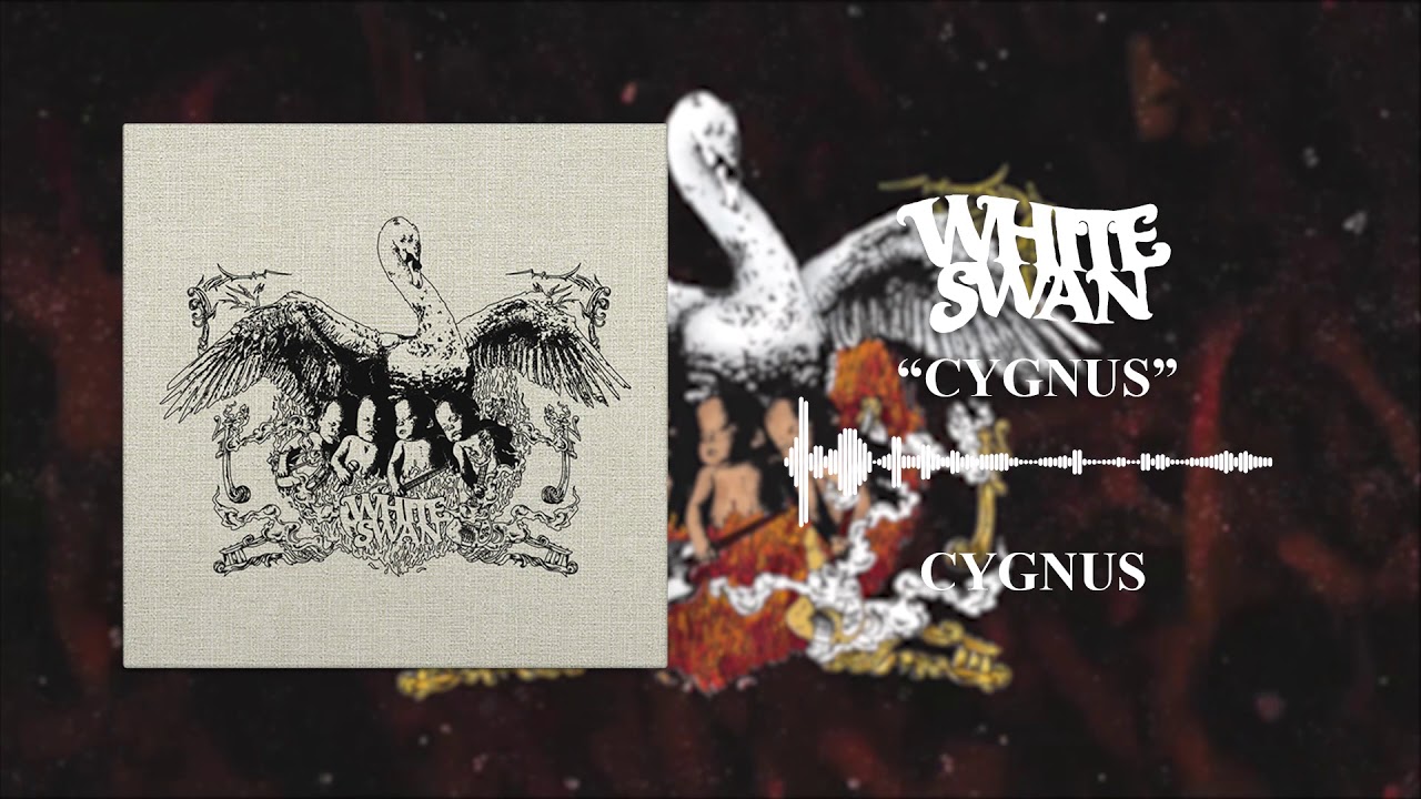 White Swan - Cygnus (Official Audio)