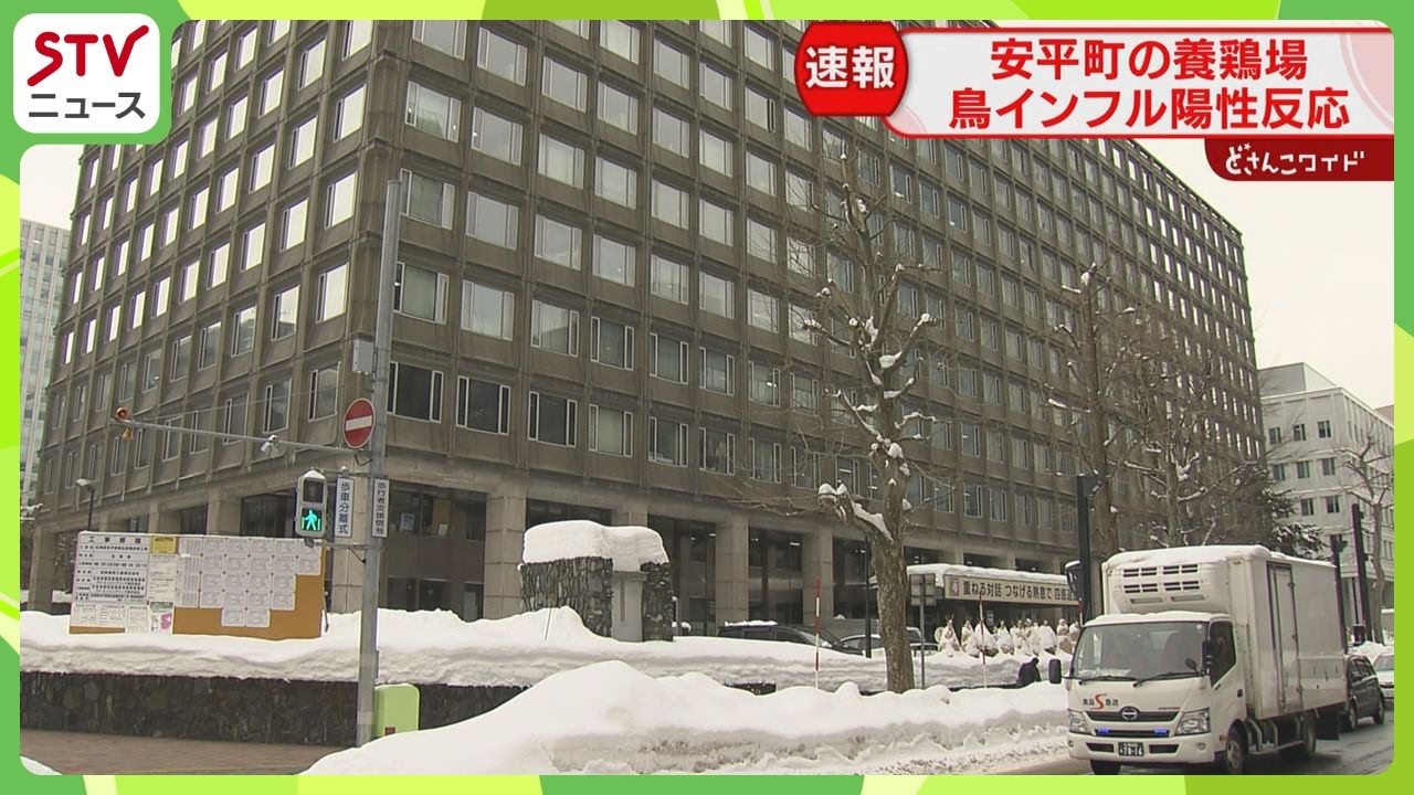 【速報】「通常よりも死んでいるニワトリが増えている」 簡易検査で鳥インフル陽性反応　北海道安平町