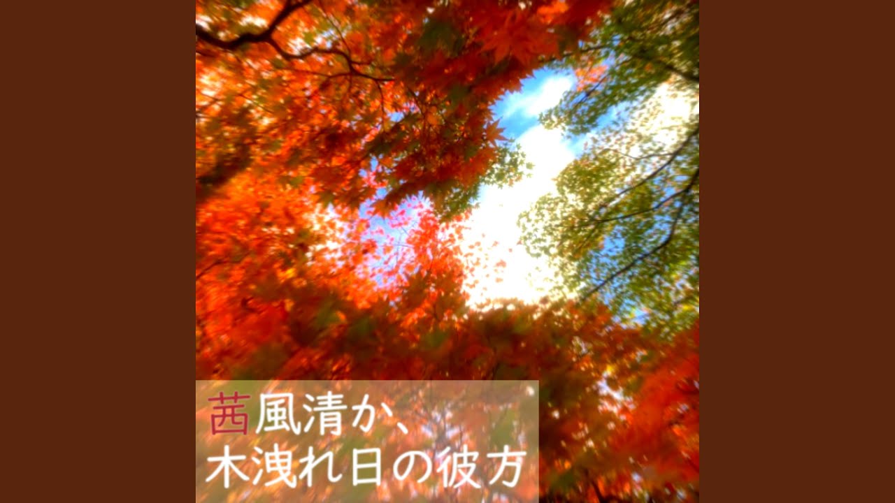茜風清か、木洩れ日の彼方