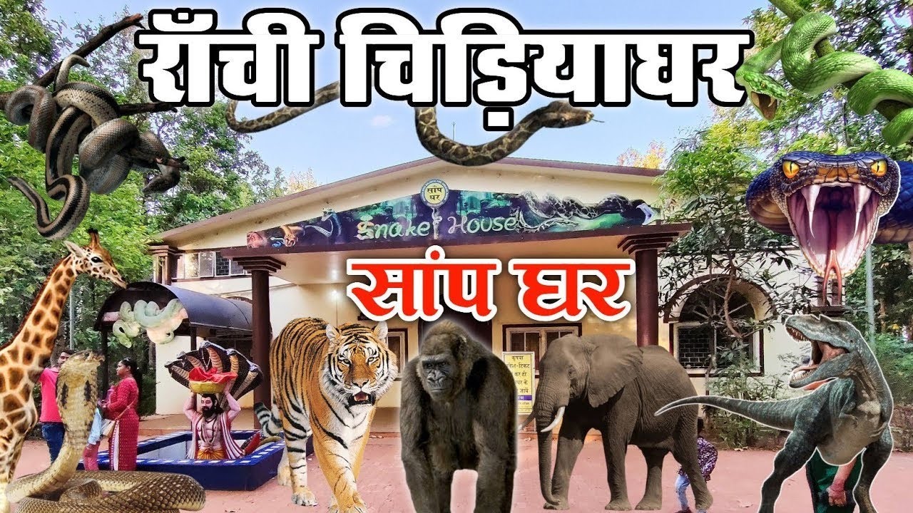 Birsa Munda Biological Park | Ormanjhi Zoo Ranchi | ओरमांझी चिड़ियाघर रांची ||