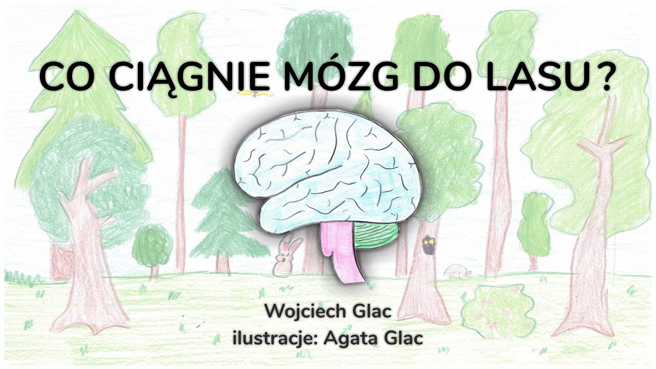 Lekcje UG - 