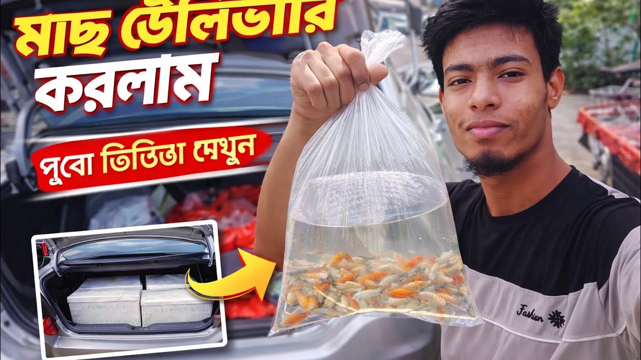 মাছ ডেলিভারি করলাম,  পুরো ভিডিও টি দেখুন//🙂🐟❤️ #rifataquarist #gappy #gappybd #guppyfarm